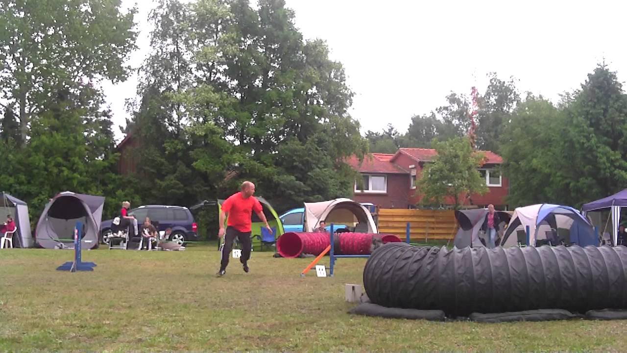 Babou du Mourioche Jumping OG Holtriem 2011