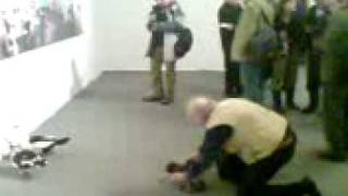 Łódź Kaliska - Niech Sczezną Mężczyźni May Men Rot 2009