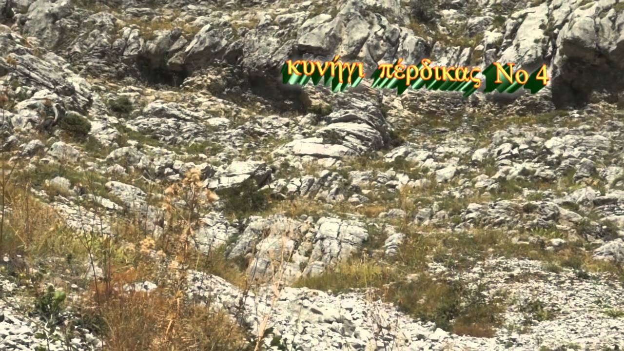 ΚΥΝΗΓΙ ΠΕΡΔΙΚΑΣ No4 -  ΤΟ KYΝΗΓΙ ΚΑΙ ΤΑ ΜΥΣΤΙΚΑ ΤΟΥ Νο 26   treiler