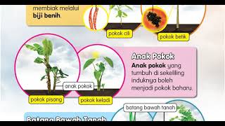 BUKU TEKS SAINS TAHUN 3 : CARA PEMBIAKAN TUMBUH TUMBUHAN - (MUKA SURAT 72 - 73)
