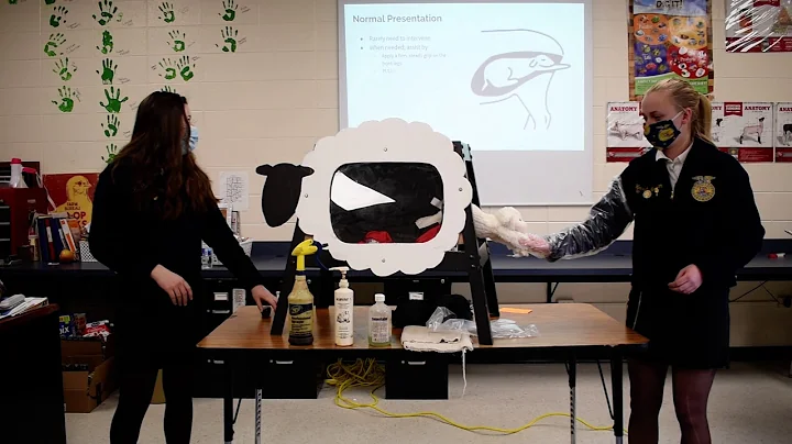 Hannah Needham and Kirsten Cummings Animal Science...