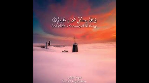 سورة التغابن آية 11