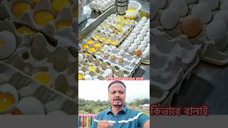 How to make plastic eggs 🤷‍♂️
