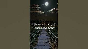 فارس عباد 🎧✨سورة الحشر✨🕊