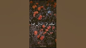 إني جزيتهم اليوم بما صبروا أنهم هم الفائزون تلاوة رائعه  #تلاوة_خاشعة #ايات_من_القران
