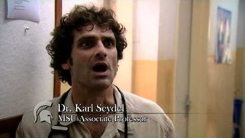 MSUToday: MRI, Malawi and MSU