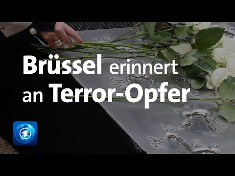 Video: Überprüfen Sie Diese Karikaturisten 