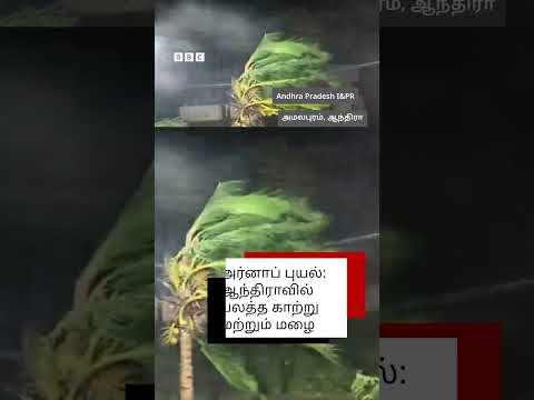 அர்னாப் புயல்: காற்றின் வேகம் 150கி.மீ; 15 மாவட்டங்களில் வெள்ள அபாயம் - சென்னையிலும் மழை பெய்யுமா?