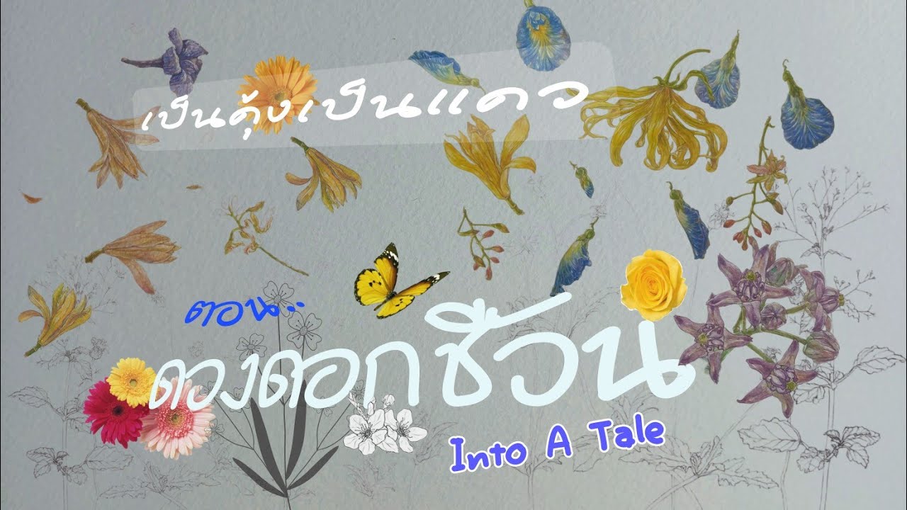 ดวงดอกชีวัน🌈เป็นคุ้งเป็นแคว🌞🦋🌻 ดวงดอกชีวัน🌈เป็นคุ้งเป็นแคว🌞🦋🌻