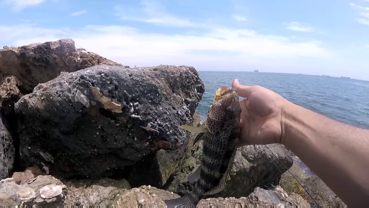 fishing againg at seal beach 07 18 18
