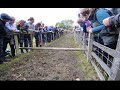Masham Sheep Fair. 30th September 2017
