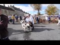 Masham Sheep Fair. 30th September 2017