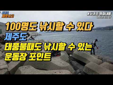 제주도 <strong>참돔</strong> 가두리 양식장 터지면 탈참모르 파티가 벌어지는 <strong>낚시</strong> <strong>포인트</strong>