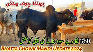 360 Laga Diye Soda Banany Ki Kashsh | Bhatta Chowk Mandi Update 1 June 2024