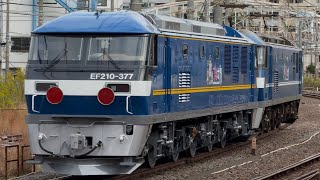 【4K高画質】【EF210-377  川崎車両出場新製甲種輸送】JR貨物EF210形100番台111号機＋ムド300番台377号機が大船駅を通過するシーン（8860レ・甲162）2025.11.18