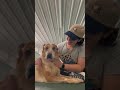 Spike (JA26-152) video
