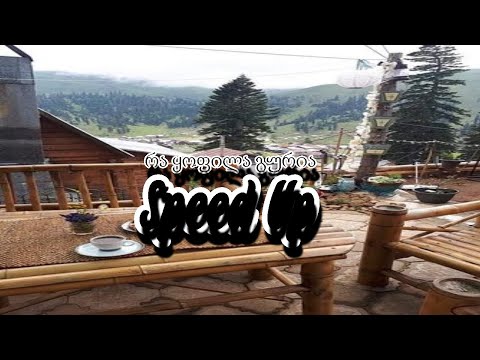 რა ყოფილა გურია (Speed up)