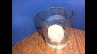 Mr. Little's JK/SK Class - Snow Melting Experiment