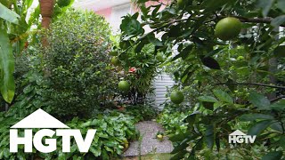All About Fruit Trees | Design Tips | HGTV