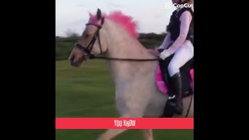 I used a template cuz I’m ✨lazy✨