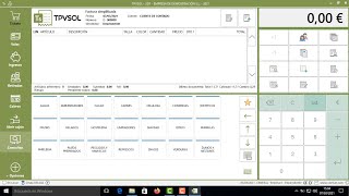 TPVSol POS software for businesses screenshot 5
