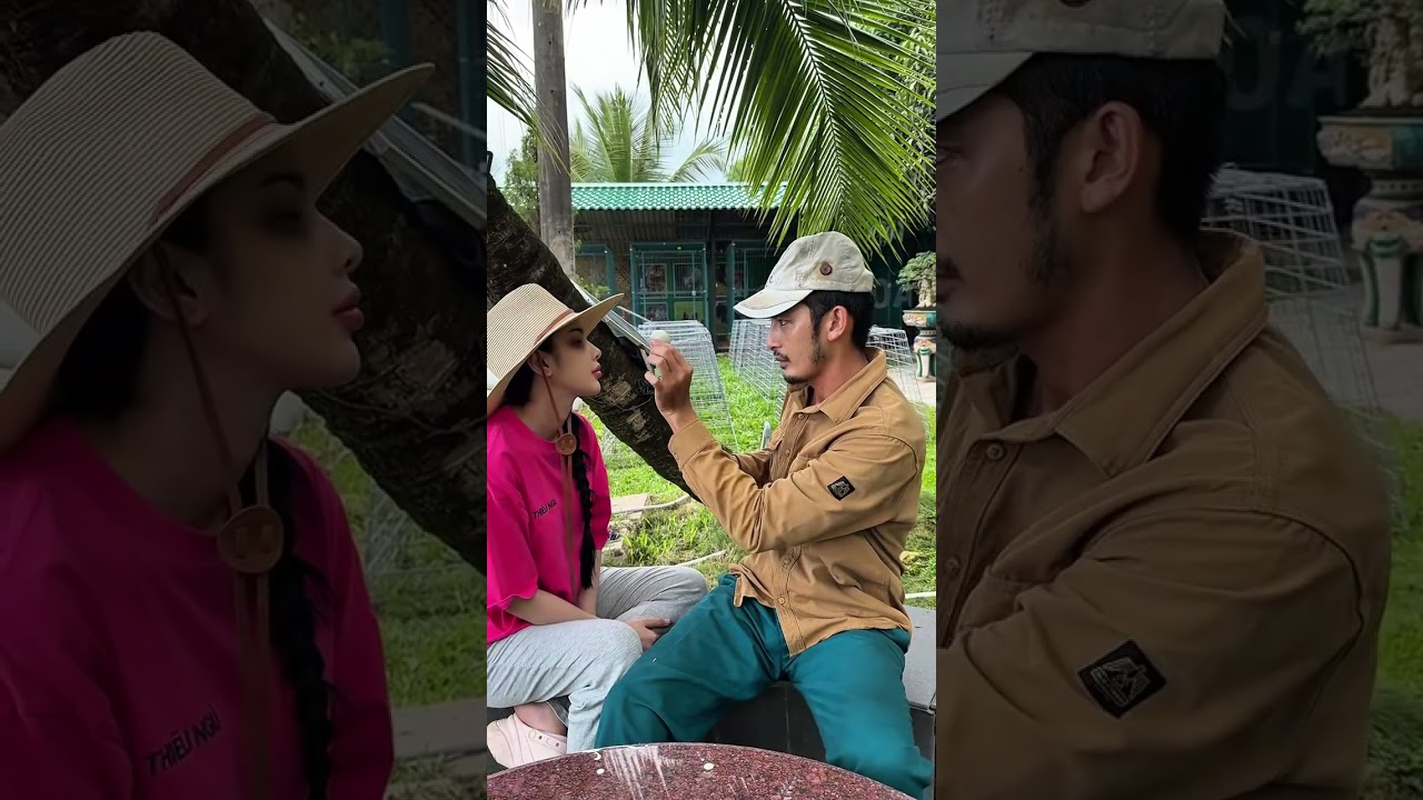 Chén Cơm Đời Phần 12