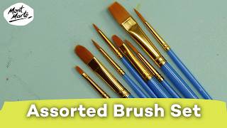 Assorted Brush Set Discovery 10Pc Product Demo