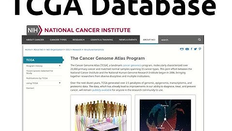 Bioinformatics for beginners | Course | Download data from TCGA database | Data Mining | Tutorial