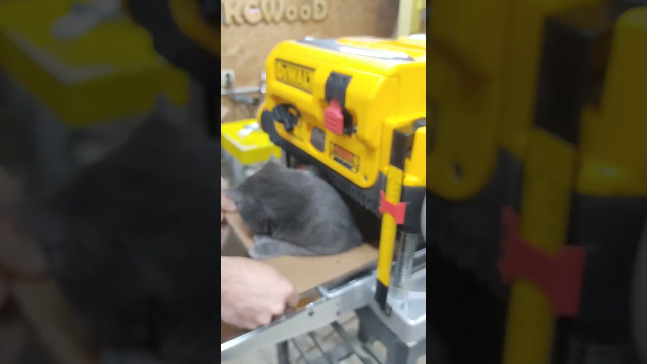 При изготовлении колбасы ни одно животное не пострадало! 