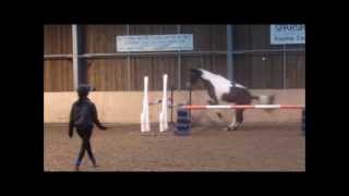 Loose Schooling Fly - Sparsholt EC