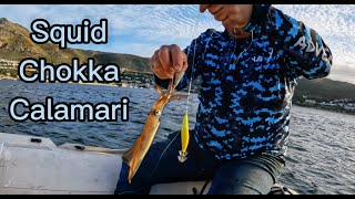 Squid/Chokka fishing (Simons Town)