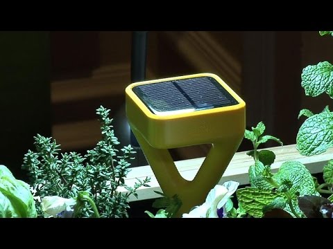 Edyn's garden sensor strives for perfection