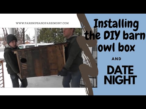 Installing the DIY Barn Owl Nesting Box