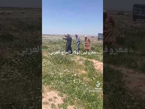 قصيدة شيخ عومار نايلي يامنتسع الارواح نعطيلك الخبر 