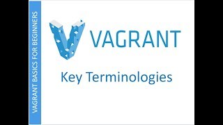 Vagrant | How Vagrant Works and Key Terminologies