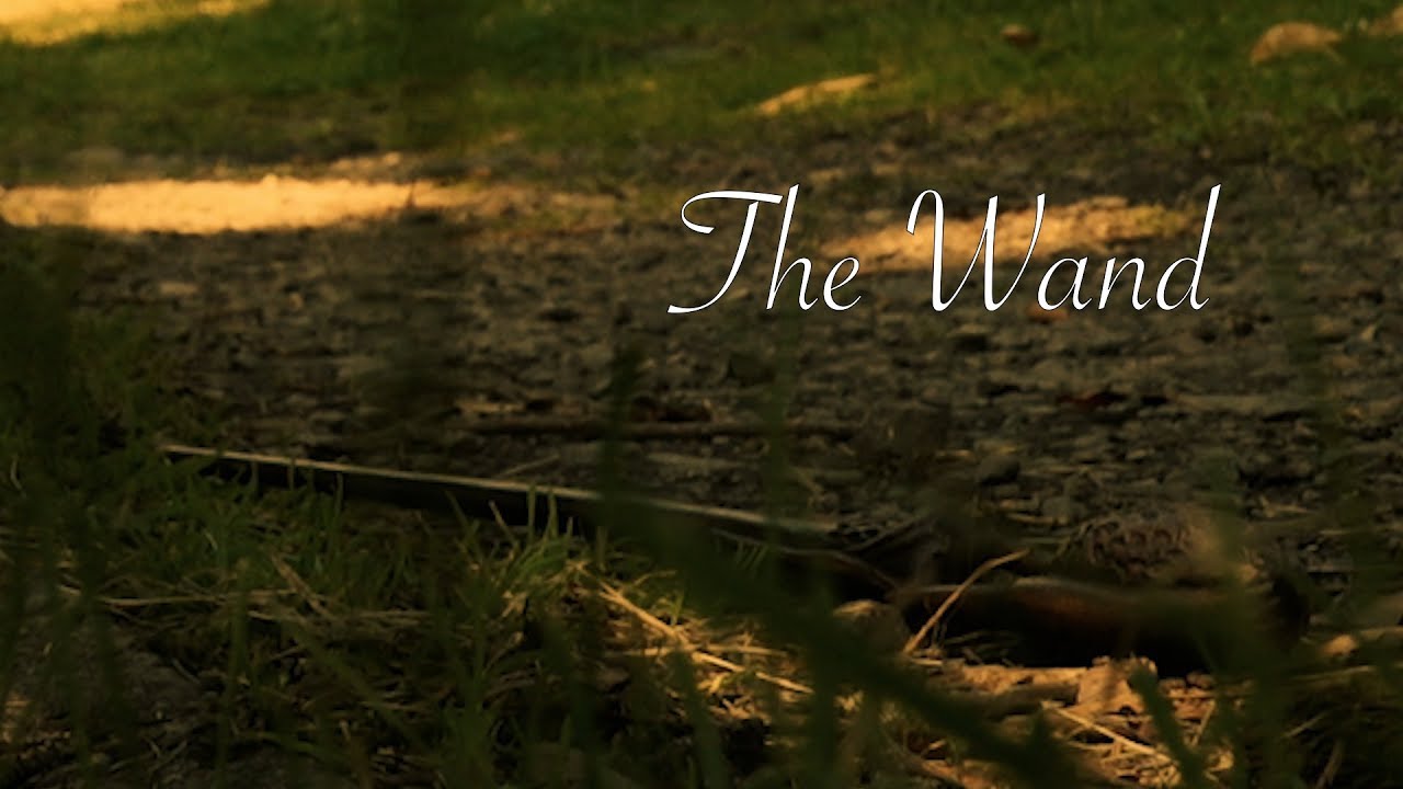 The Wand