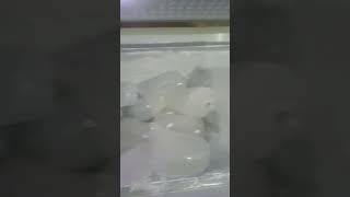Freezer Box Sharp Beku 