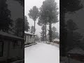 نتھیا گلی ایبٹ آباد میں برف باری کے تازہ ترین مناظر 20.01.2025