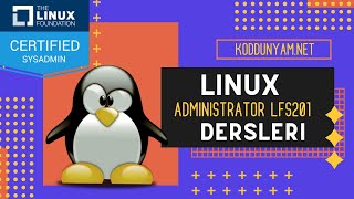 Linux Administrator (Yöneticilik) Eğitimi - İşlemler (Top, Htop ve Sistem Analizi)