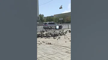 мудрость жизни песня боль души мысли жизнь любовь психология 