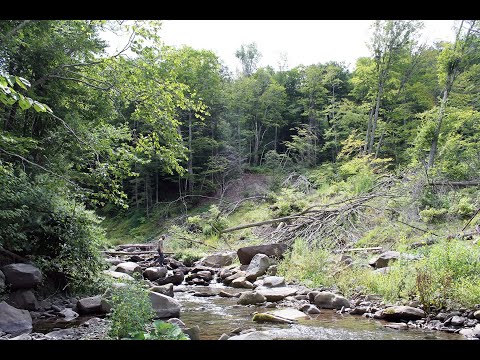 Stream Restoration Project Monitoring in the Ashokan Watershed