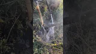 IMG 8293