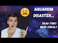 I ABANDONED MY AQUARIUMS FOR WEEKS *what happened?!*