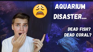 I ABANDONED MY AQUARIUMS FOR WEEKS *what happened?!*