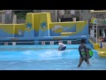 姫路市民プールのイベント の動画、YouTube動画。
