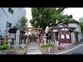 楠霊（なんれい）神社のクスノキ 兵庫県尼崎市武庫川町 兵庫の巨樹