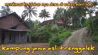 menikmati keindahan nya desa diwaktu sore hari yang sangat takjub