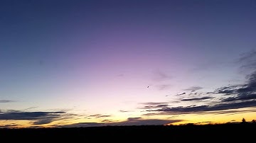 Scratch build delta wing