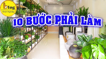Kinh nghiệm mở cửa hàng cây cảnh cho người mới bắt đầu