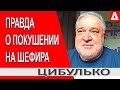 Покушение на Шефира сработает против Зеленского - Цибулько